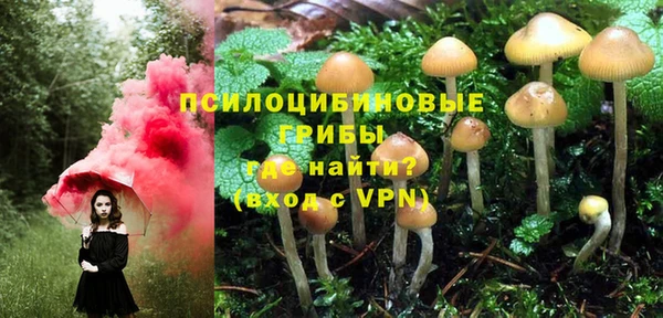 прущие грибы Остров